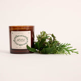 Evergreen Coffee Box