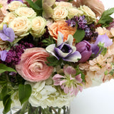 Medium Spring