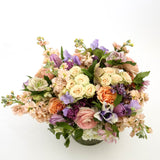 Medium Spring