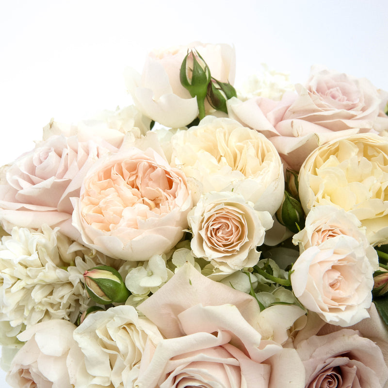 Medium Blush Arrangement