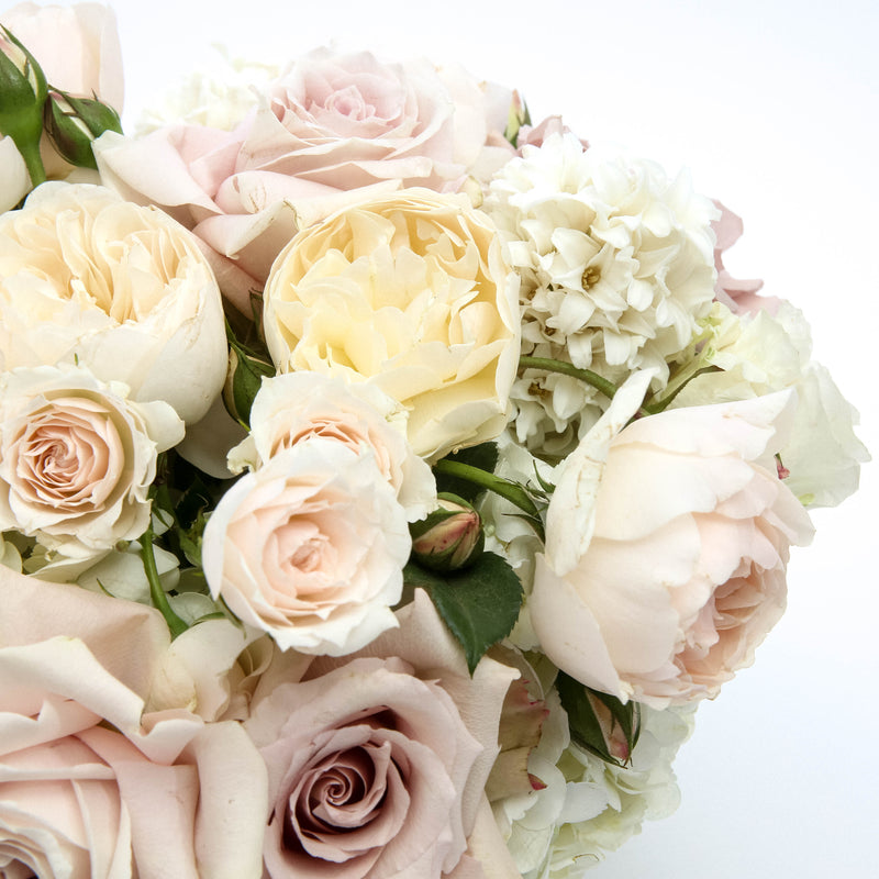 Medium Blush