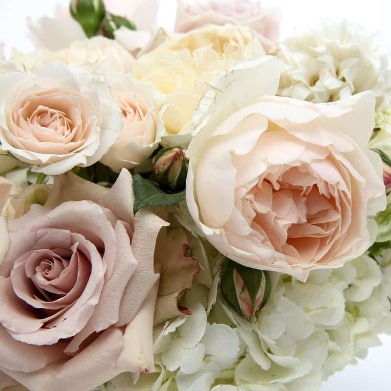 Medium Blush Arrangement