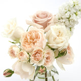 Bud Blush