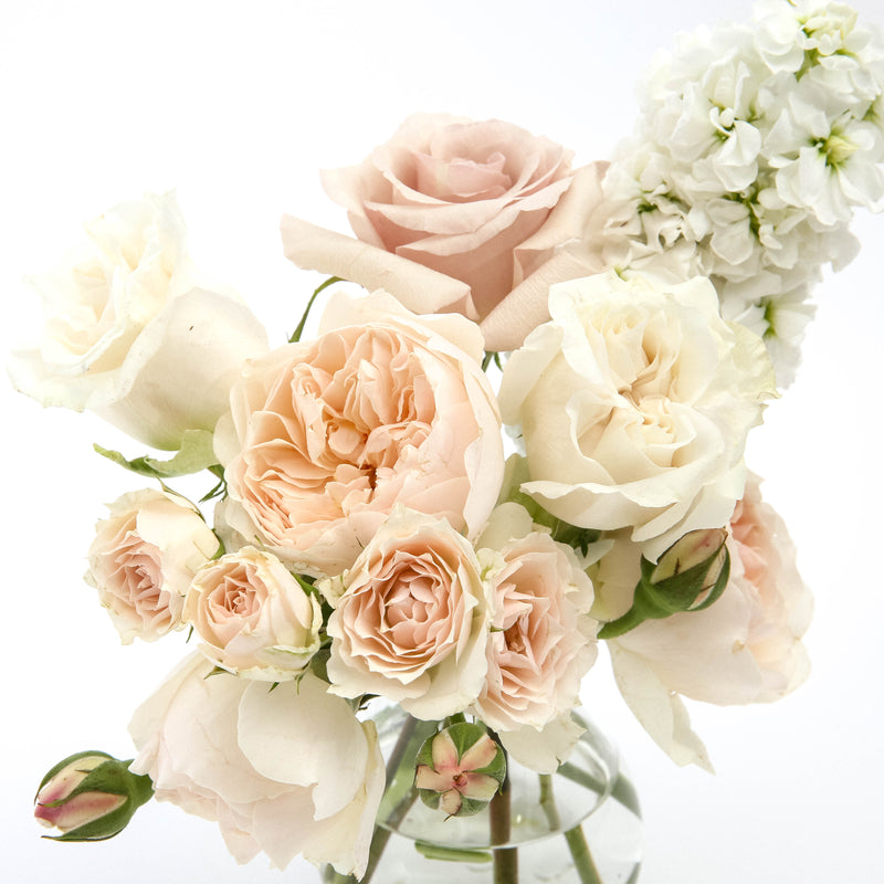 Bud Blush