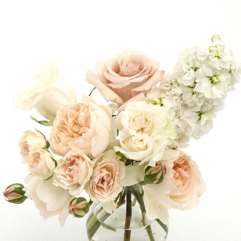 Bud Blush