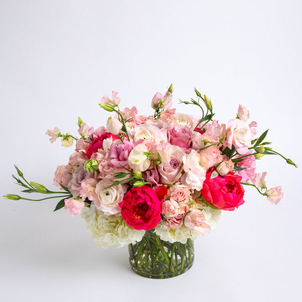 Grand Blushing Beauty