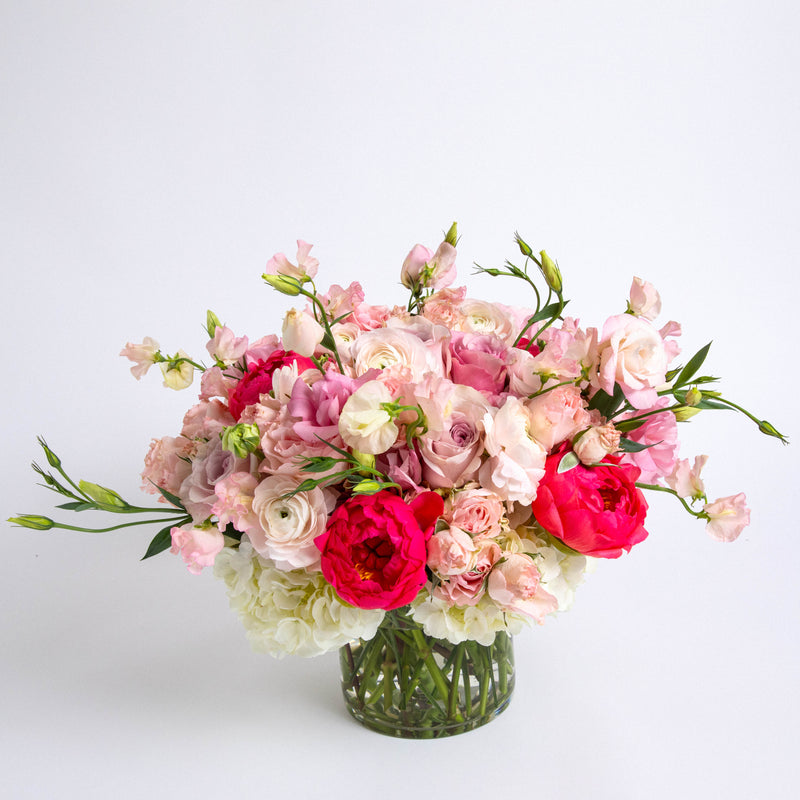Grand Blushing Beauty