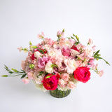 Grand Blushing Beauty