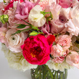 Grand Blushing Beauty