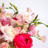 Grand Blushing Beauty