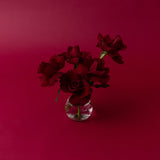 Red Rosebud