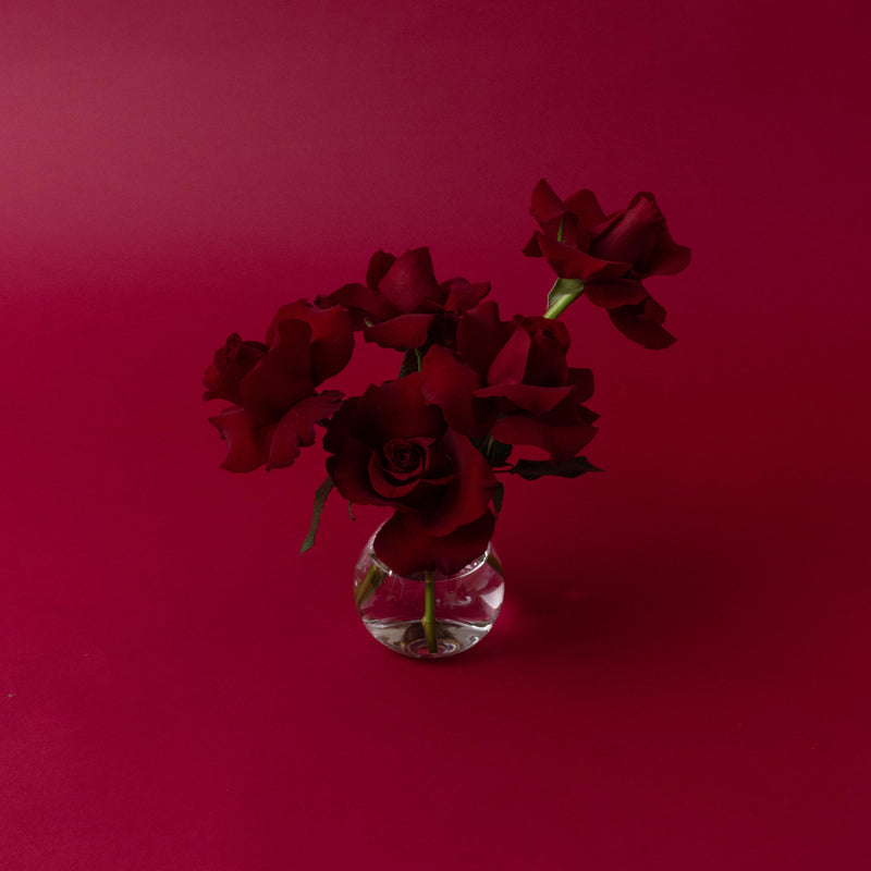 Red Rosebud