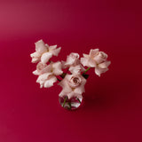 Blush Rosebud