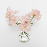 Blush Rosebud