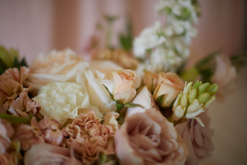Small Blush Arrangement