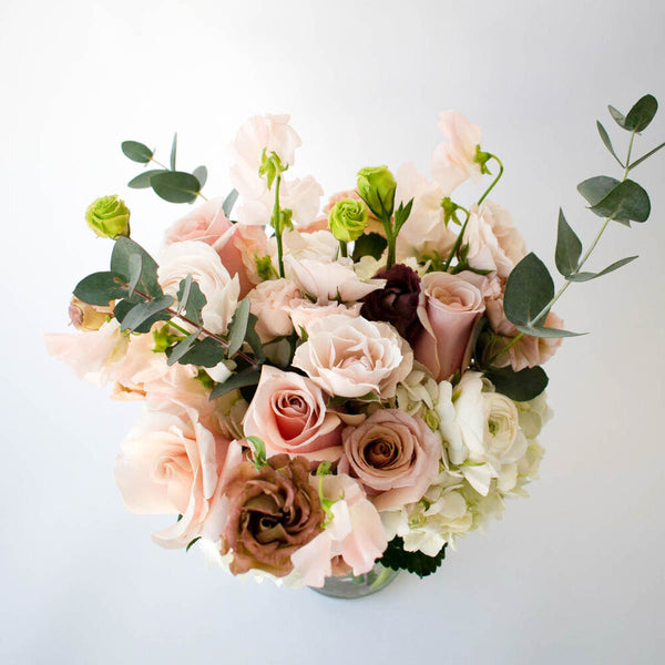 Blushing Beauty